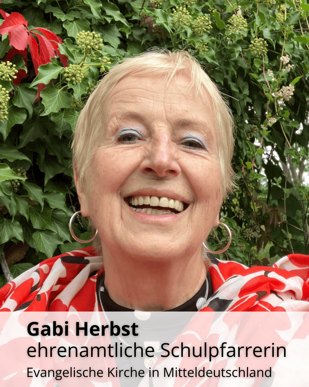 Foto: Bild-Video Lightbox