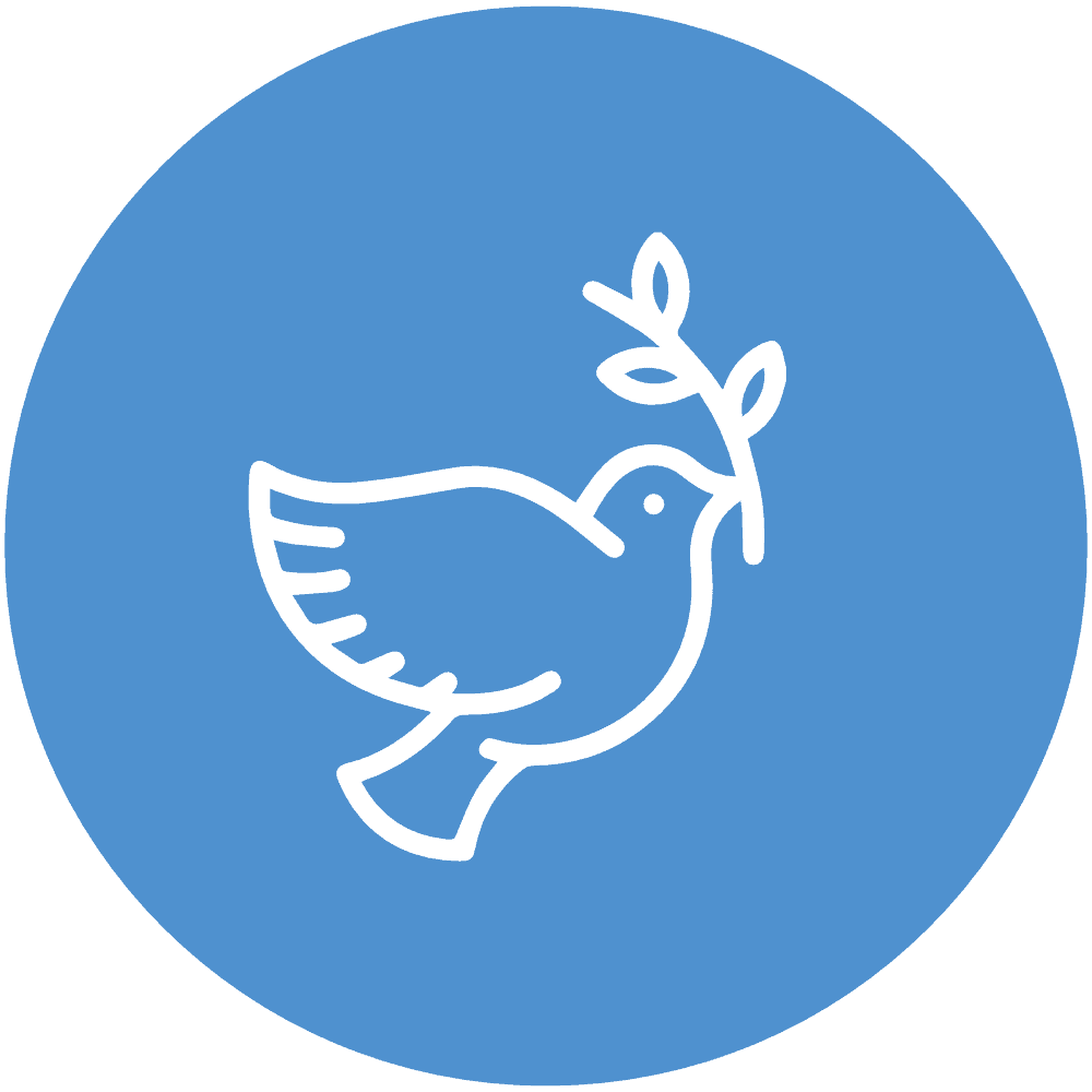 Kategorie: Reflexion