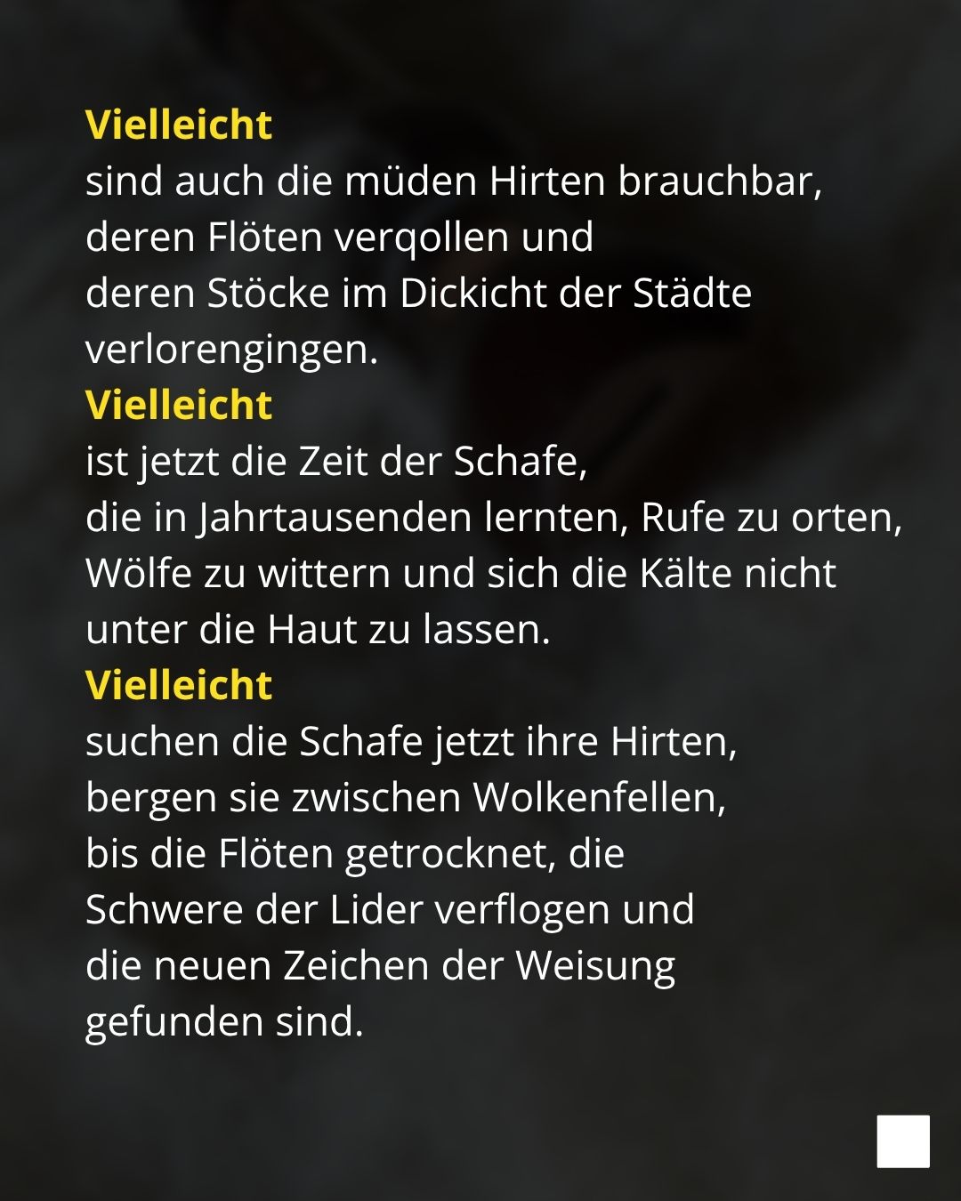 Auf schwarzem Hintergrund steht: Vielleicht sind auch die müden Hirten brauchbar, deren Flöten verqollen und deren Stöcke im Dickicht der Städte verlorengingen. Vielleicht ist jetzt die Zeit der Schafe, die in Jahrtausenden lernten, Rufe zu orten, Wölfe zu wittern und sich die Kälte nicht unter die Haut zu lassen. Vielleicht suchen die Schafe jetzt ihre Hirten, bergen sie zwischen Wolkenfellen, bis die Flöten getrocknet, die Schwere der Lider verflogen und die neuen Zeichen der Weisung gefunden sind.