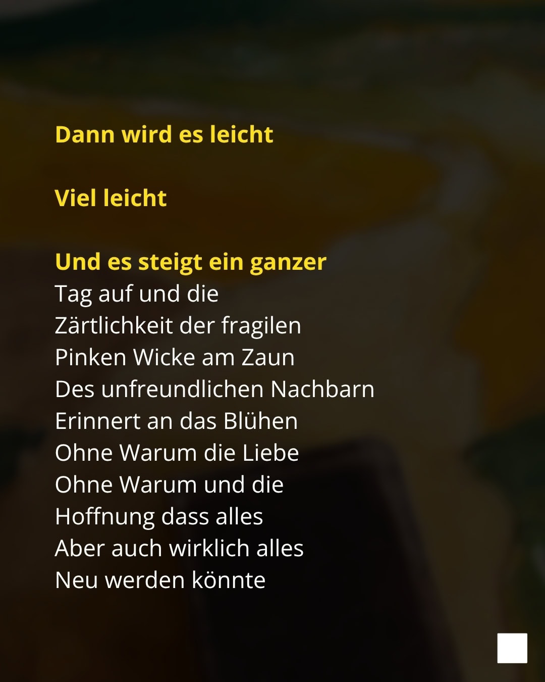 Dann wird es leicht Viel leicht Und es steigt ein ganzer Tag auf und die Zärtlichkeit der fragilen Pinken Wicke am Zaun Des unfreundlichen Nachbarn Erinnert an das Blühen Ohne Warum die Liebe Ohne Warum und die Hoffnung dass alles Aber auch wirklich alles Neu werden könnte